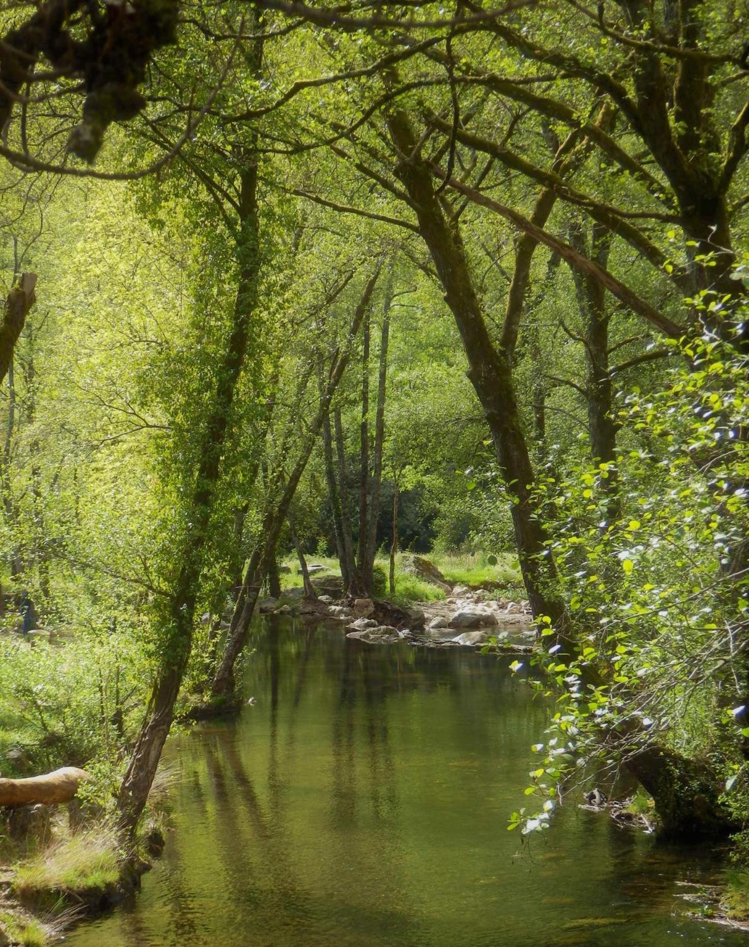 O Homem Verde Пенела Экстерьер фото